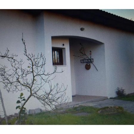 Appartamento In Villa Con Giardino A 300M Dal Lago Maggiore Castelletto sopra Ticino Zewnętrze zdjęcie